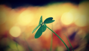 小区监控系统有哪些设备组成的,小区监控系统的作用