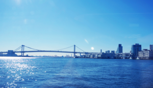 小区监控系统有哪些设备组成的,小区监控系统的作用