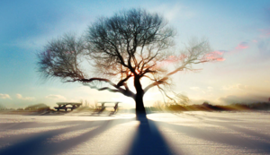 小区监控系统有哪些设备组成的,小区监控系统的作用