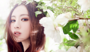 管理系统由那些要素构成组成,管理系统主要由什么构成